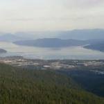 Who lost the most on Thursday? District 1 constituents.