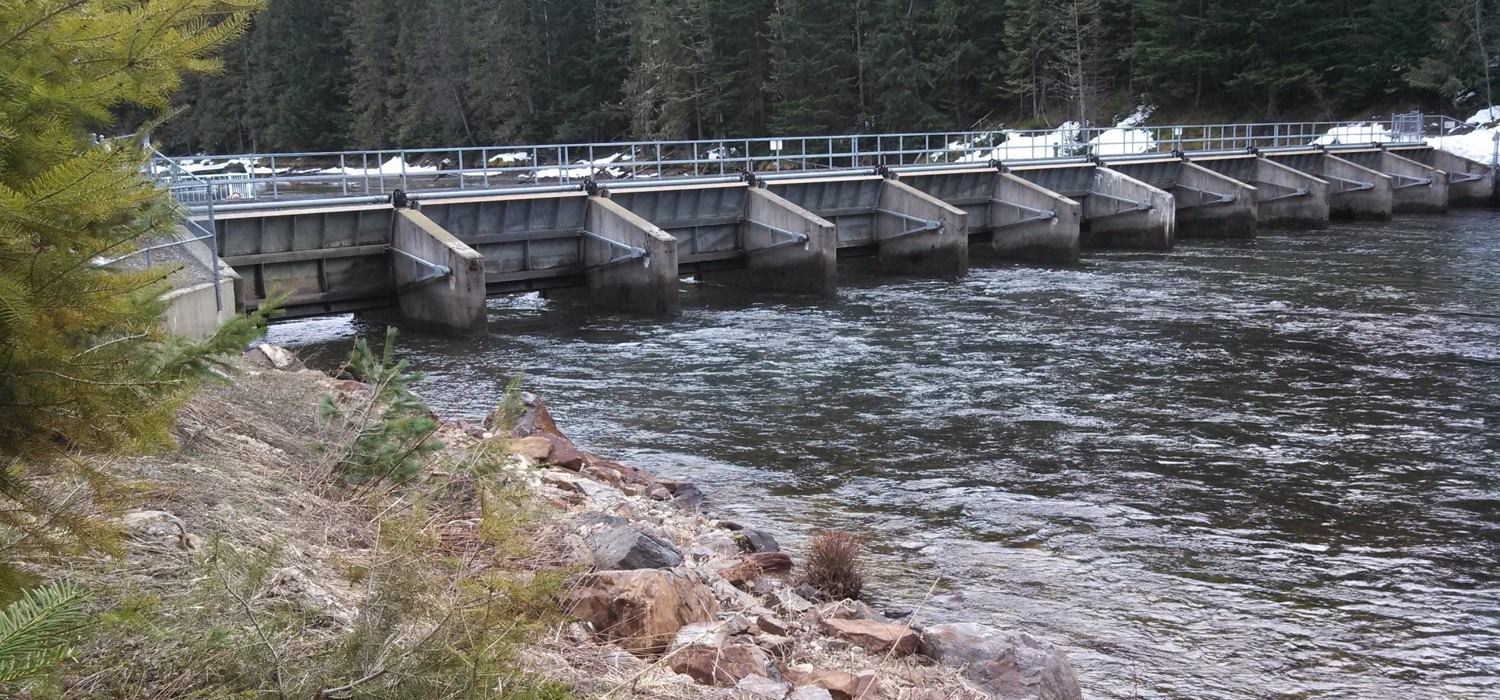 Priest Lake siphon bill passes Senate committee  