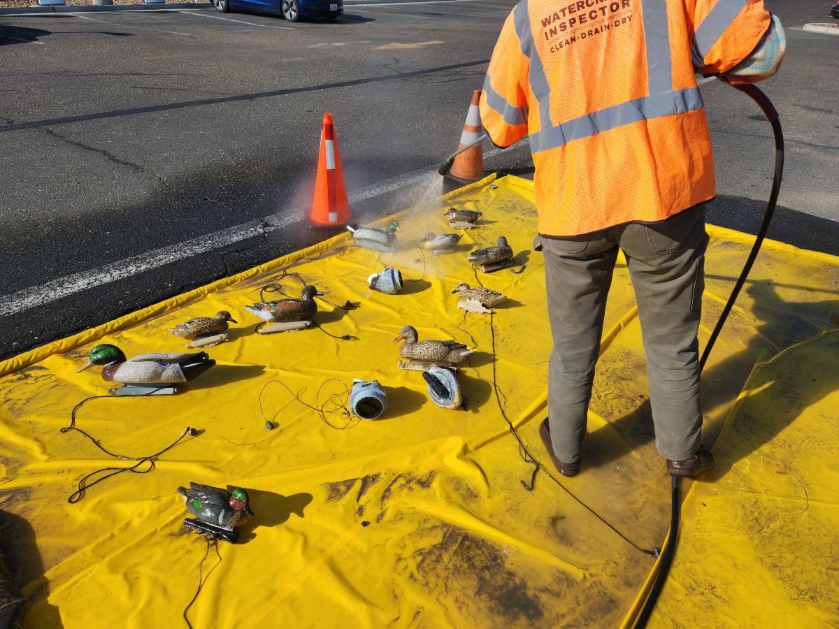 Podcast: Quagga Mussels Detected in Snake River